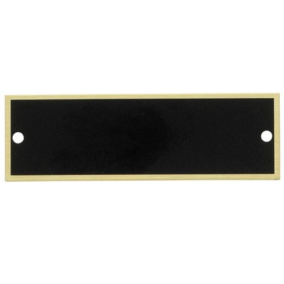 Brass Screened Plate w/2 Holes (2¾" x 7/8")
