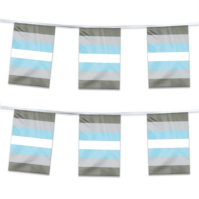 60' 1ply ePoly Demi boy Pride Streamer