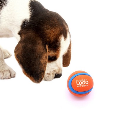 Elastic Balls Dog Toys
