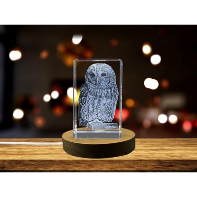 Tawny Owl Vivid Crystal Recognition Award – Gift for Bird Lovers
