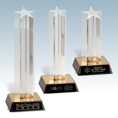 Single Star Column Award
