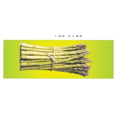 Asparagus Panoramic Metal Photo Magnet
