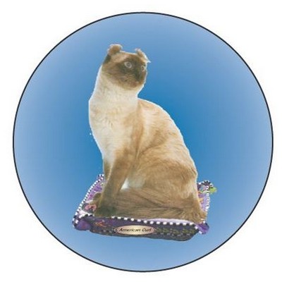 American Curl Cat Round Metal Photo Magnet (2 1/2")