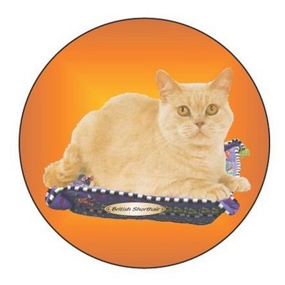 British Shorthair Cat Round Metal Photo Magnet (2 1/2")