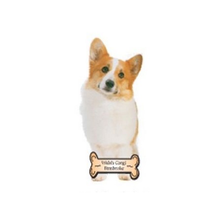 Welsh Corgi Dog Executive Magnet w/ Full Magnetic Back (12 Square Inch)