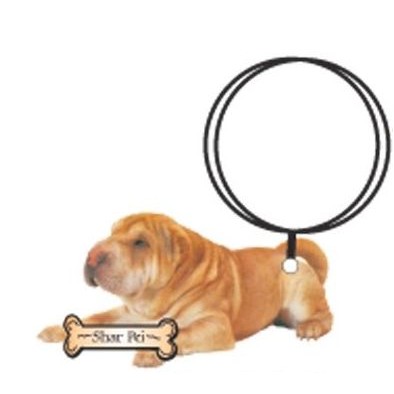 Shar Pei Dog Keychain w/Mirrored Back (2 Square Inch)