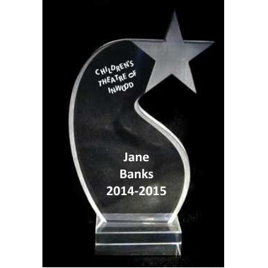 EXCLUSIVE! Acrylic and Crystal Engraved Award - 7" Tall Shooting Star