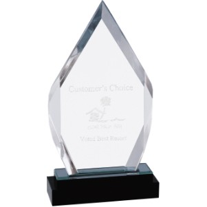 Silver Fusion Diamond Acrylic Award with Crystal Base, 9"H