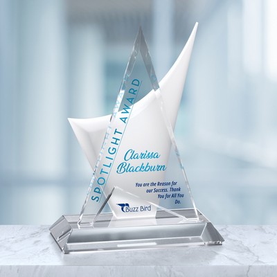 Enterprise Award 11-1/2"