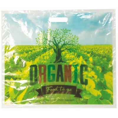 Digital Full Color 1-Sided Clear Plastic Bag (18" x 15")