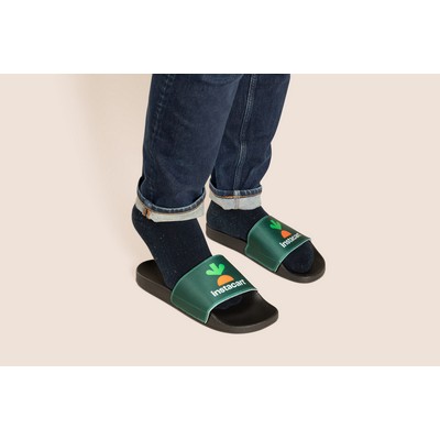 Full Color Easy Slide