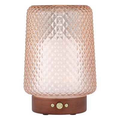 SpaRoom Dahlia Glass Diffuser - Sparoom Home Collection