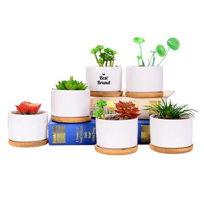 Mini White Ceramic Succulent Planter with Bamboo Saucer