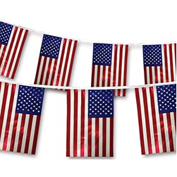 Polyethylene American Flag Pennant