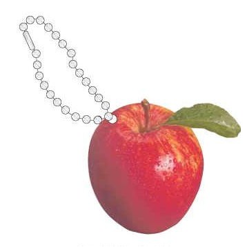 Apple Promotional Key Chain w/ Black Back (6 Square Inch)