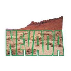 Nevada Desert Lapel Pin