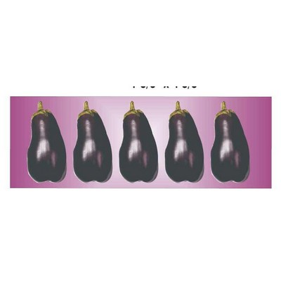 Eggplant Panoramic Metal Photo Magnet