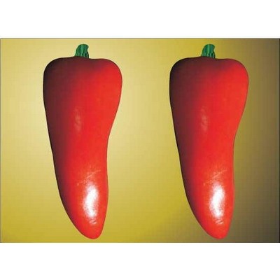 Red Chili Pepper Rectangle Badge w/ Bar Pin (2 1/2"x3 1/2")