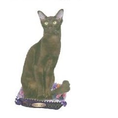 Oriental Longhair Cat Lapel Pin