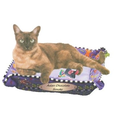 Asian Chocolate Smoke Cat Magnet w/ Full Magnetic Back (10 Square Inch)