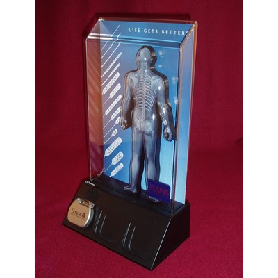 ANS Electronic Display