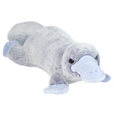 Allie Platypus Soft Stuffed Animal