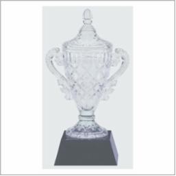Crystal Cup Award w/Black Base