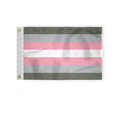 12''x18'' 1ply Nylon Demi girl Pride Flag