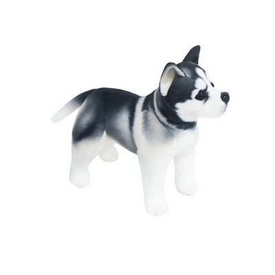 Standing Husky