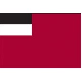 3'x5' Georgia U.N. Nylon Outdoor Flag - Style B