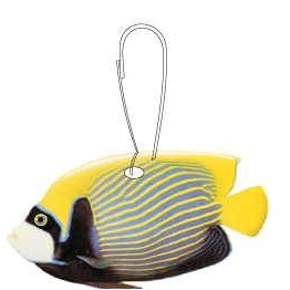 Tropical Fish Zipper Pull