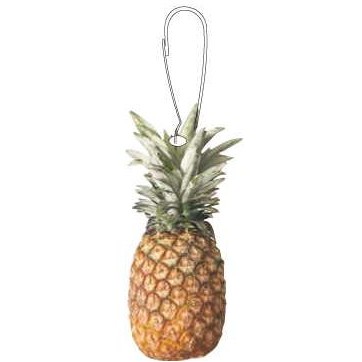 Pineapple Zipper Pull