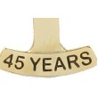 45 Year Stock Die Struck Pin