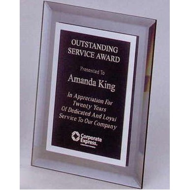 Vertical Smoke Gray Beveled Mirror Plaque (12"x15")