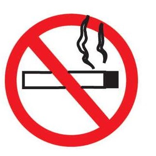 No Smoking Sign Maxi Magnet (8 Square Inch)