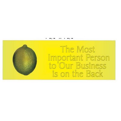 Lime Panoramic Photo Hand Mirror (1 5/8"x4 5/8")