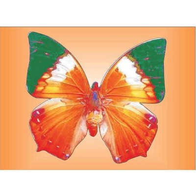 Orange & Green Butterfly Rectangle Badge w/ Bar Pin (2 1/2"x3 1/2")