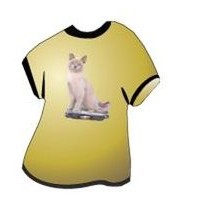 American Burmese Cat T-Shirt Mighty Mini Magnet