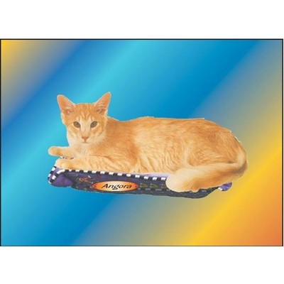 Angora Cat Rectangle Metal Photo Magnet (2"x3")