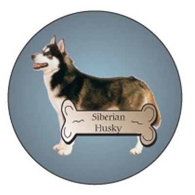 Siberian Husky Dog Round Metal Photo Magnet (2 1/2")