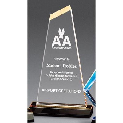 Large Optima Award (6" x 11")