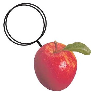 Apple Executive Key Chain w/Mirrored Back (10 Square Inch)