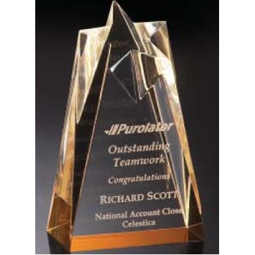 Gold Star Acrylic Award