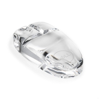 Computer Mouse Paperweight