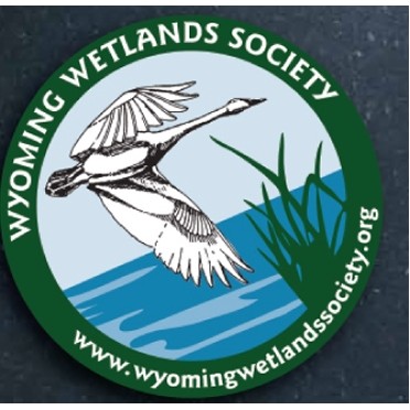 Circle Vinyl Decals w/Laminate Up to 4" (Standard Sizes)