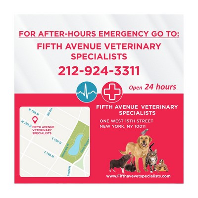 Square Sticker | Square Corner | 7" x 7" | Clear Static | Static Face | Digital