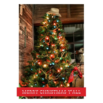 Merry Christmas Y'all Holiday Greeting Cards
