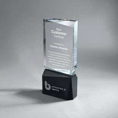 Faceted Clear Crystal with Black Crystal (4"x9"x1.5")