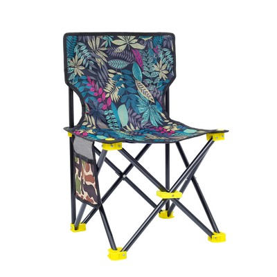 Small Folding /Fishing Chair With Carrying Bag