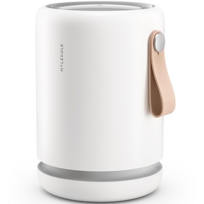 Molekule Air Mini+ Purifier